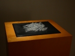 dscn0446